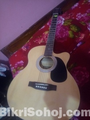 Acoustic Guitar